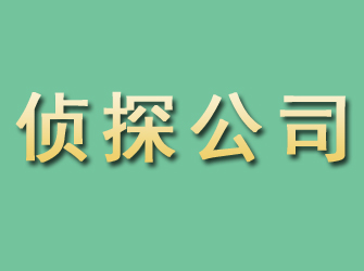 四方台市侦探公司